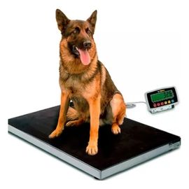 basculas veterinarias