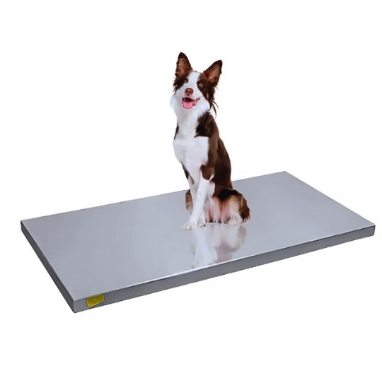 servicio tecnico para basculas